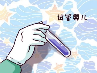 三代供卵试管选性别包生男孩